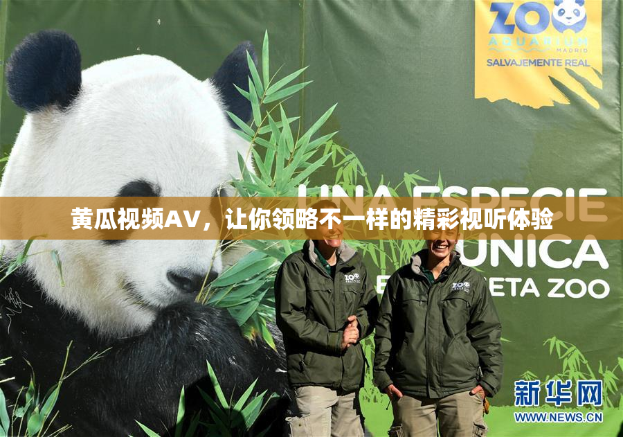 黄瓜视频AV，让你领略不一样的精彩视听体验