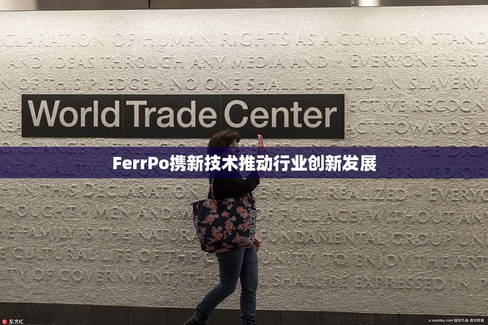 FerrPo携新技术推动行业创新发展