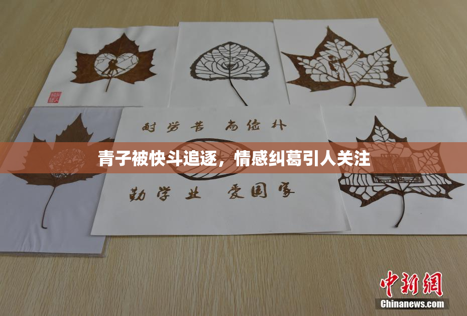 青子被快斗追逐，情感纠葛引人关注