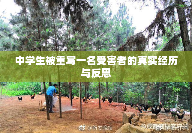 中学生被重写一名受害者的真实经历与反思