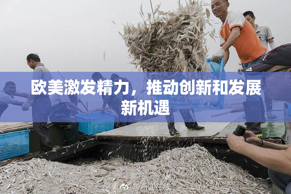 欧美激发精力，推动创新和发展新机遇