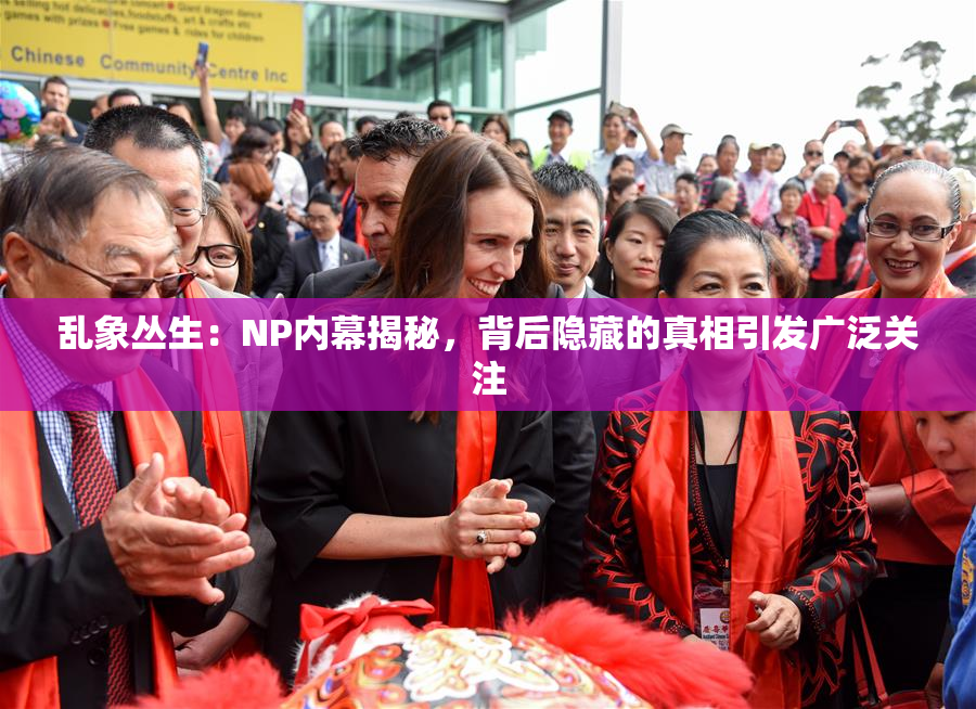 乱象丛生：NP内幕揭秘，背后隐藏的真相引发广泛关注