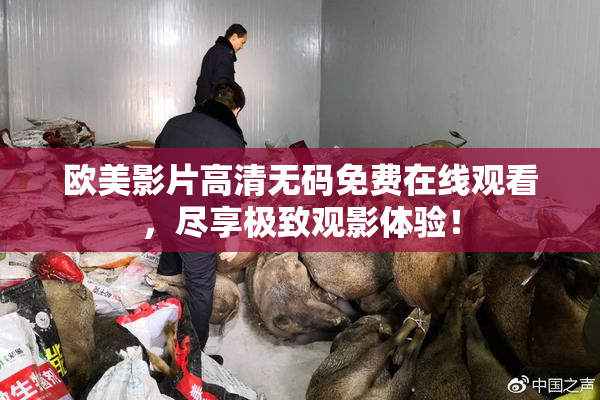 欧美影片高清无码免费在线观看，尽享极致观影体验！