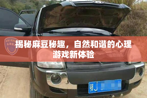 揭秘麻豆秘趣，自然和谐的心理游戏新体验