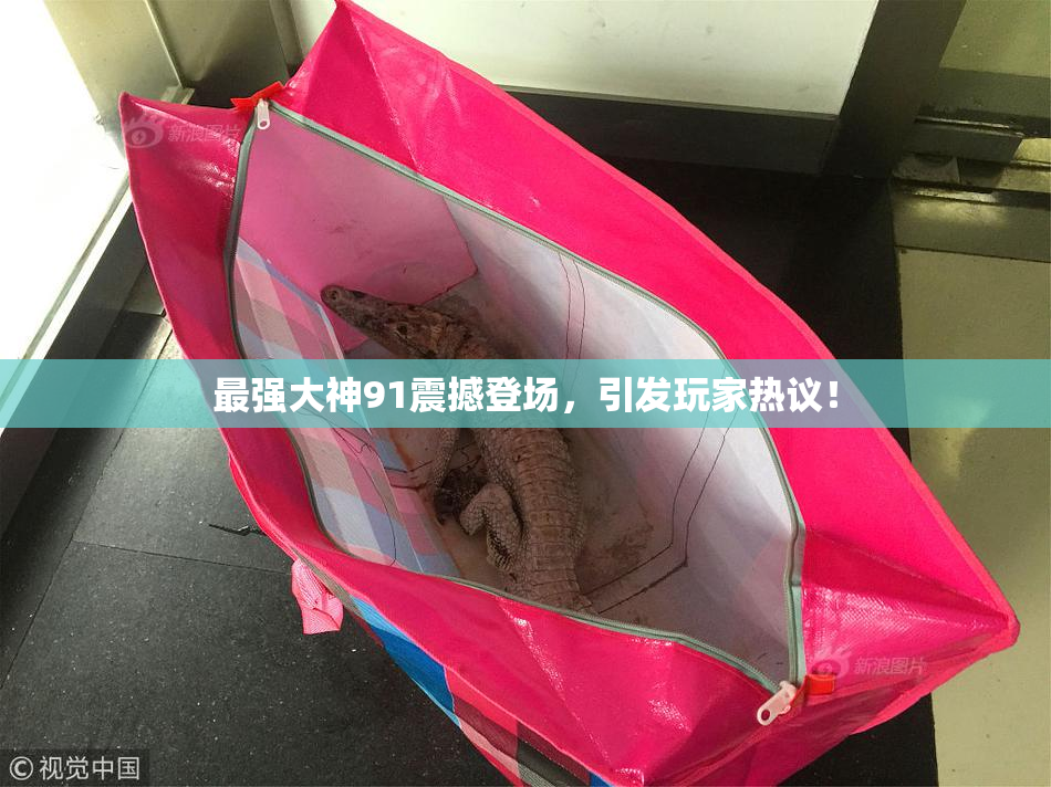 最强大神91震撼登场，引发玩家热议！
