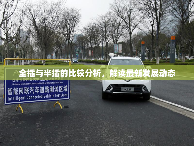 全插与半插的比较分析，解读最新发展动态