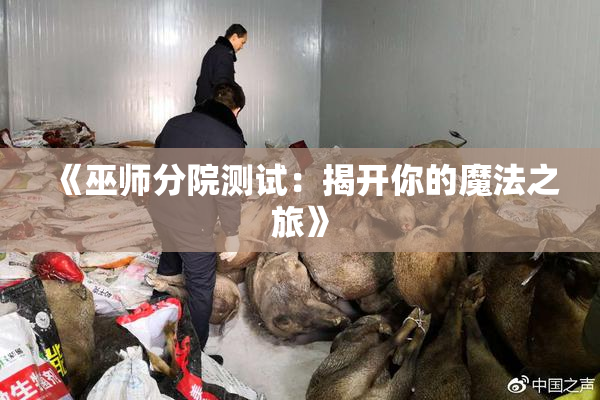 《巫师分院测试：揭开你的魔法之旅》