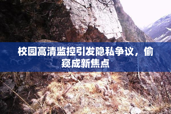 校园高清监控引发隐私争议，偷窥成新焦点