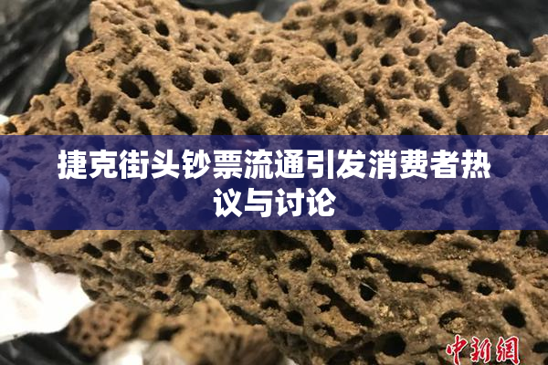 捷克街头钞票流通引发消费者热议与讨论