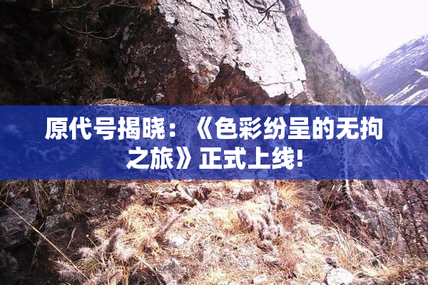 原代号揭晓：《色彩纷呈的无拘之旅》正式上线!