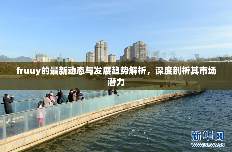fruuy的最新动态与发展趋势解析，深度剖析其市场潜力