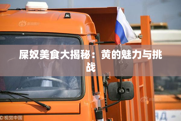 屎奴美食大揭秘：黄的魅力与挑战