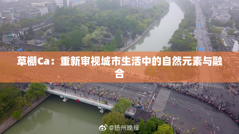 草棚Ca：重新审视城市生活中的自然元素与融合