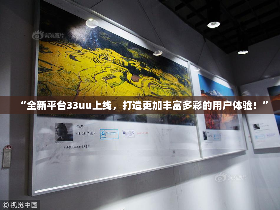 “全新平台33uu上线，打造更加丰富多彩的用户体验！”