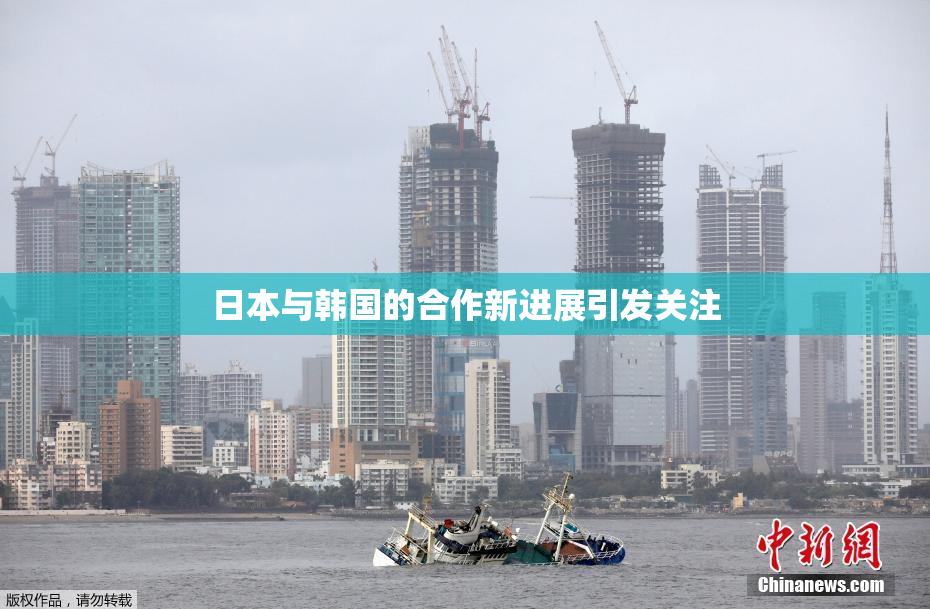 日本与韩国的合作新进展引发关注
