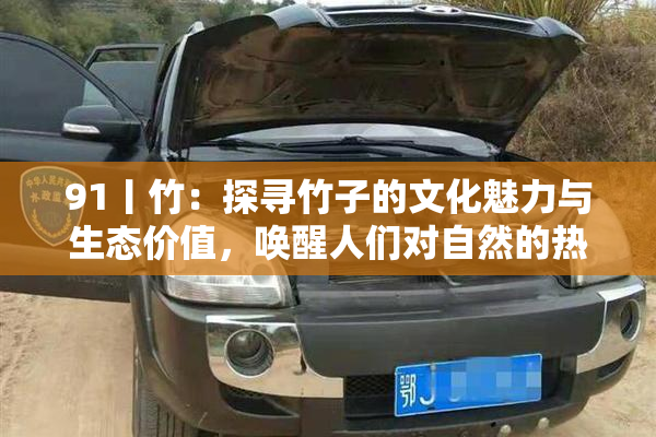 91丨竹：探寻竹子的文化魅力与生态价值，唤醒人们对自然的热爱
