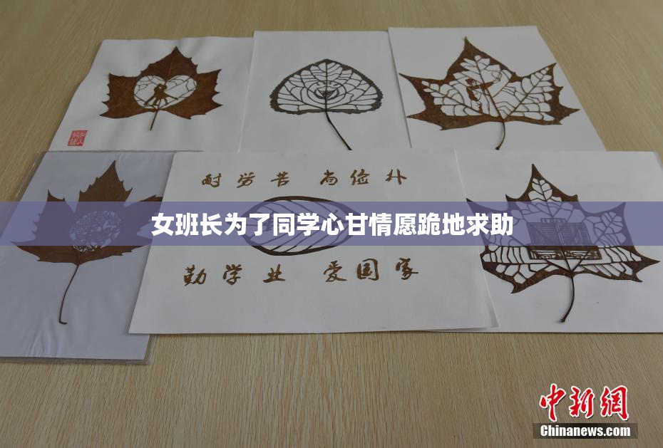 女班长为了同学心甘情愿跪地求助