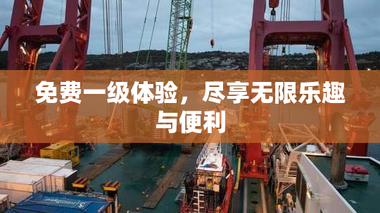 免费一级体验，尽享无限乐趣与便利