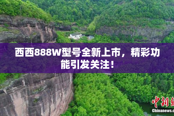 西西888W型号全新上市，精彩功能引发关注！