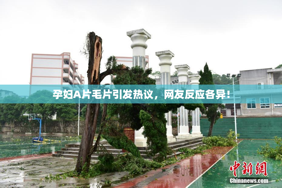 孕妇A片毛片引发热议，网友反应各异！
