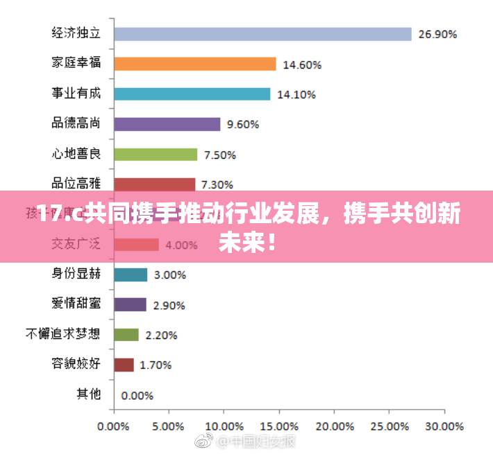 17.c共同携手推动行业发展，携手共创新未来！