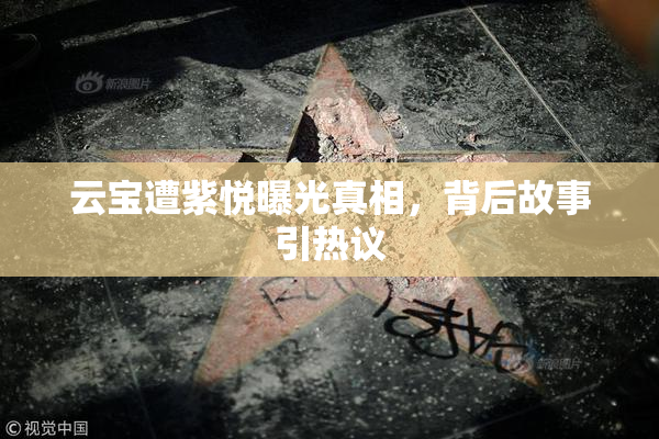 云宝遭紫悦曝光真相，背后故事引热议