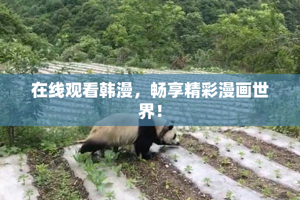 在线观看韩漫，畅享精彩漫画世界！