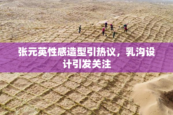 张元英性感造型引热议，乳沟设计引发关注