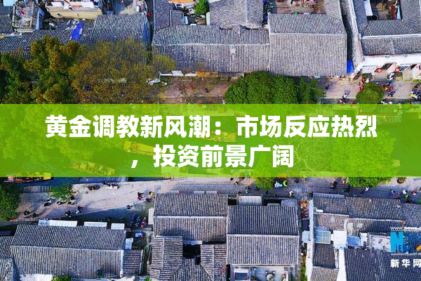 黄金调教新风潮：市场反应热烈，投资前景广阔