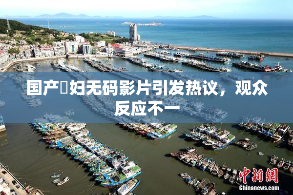 国产婬妇无码影片引发热议，观众反应不一