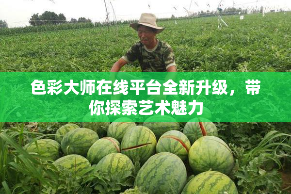 色彩大师在线平台全新升级，带你探索艺术魅力