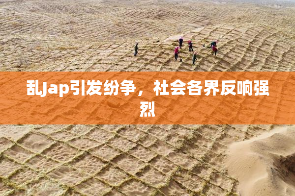 乱Jap引发纷争，社会各界反响强烈