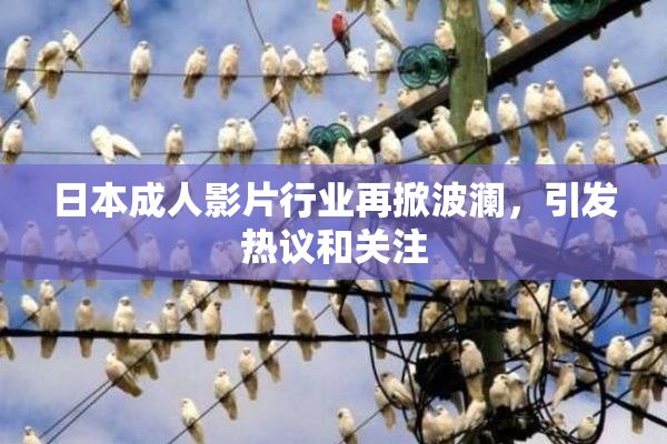 日本成人影片行业再掀波澜，引发热议和关注