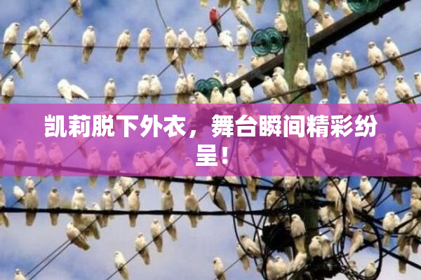 凯莉脱下外衣，舞台瞬间精彩纷呈！