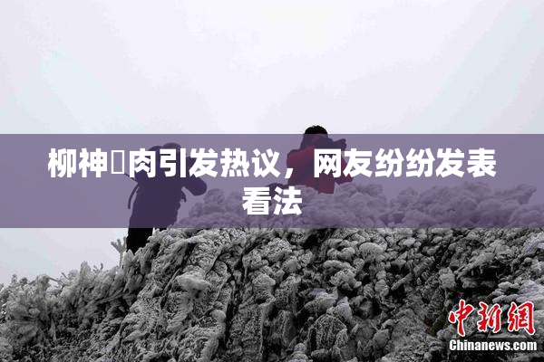 柳神婬肉引发热议，网友纷纷发表看法