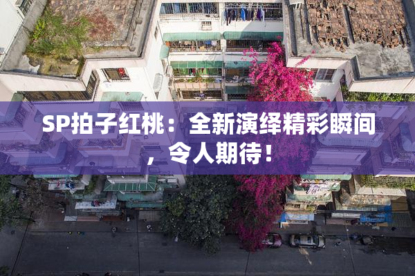 SP拍子红桃：全新演绎精彩瞬间，令人期待！
