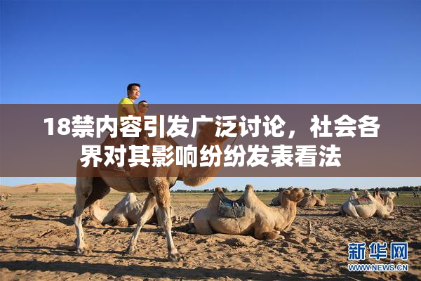 18禁内容引发广泛讨论，社会各界对其影响纷纷发表看法