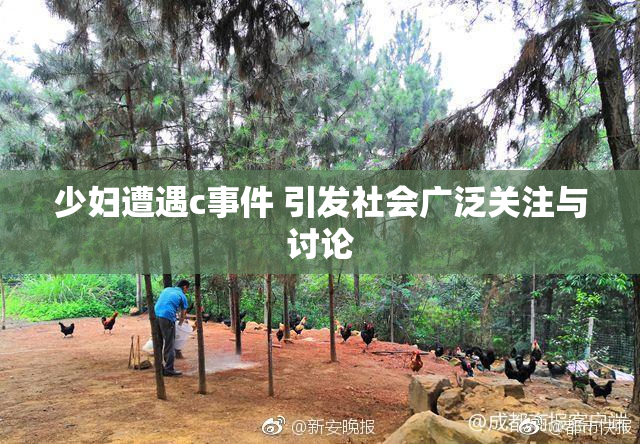 少妇遭遇c事件 引发社会广泛关注与讨论