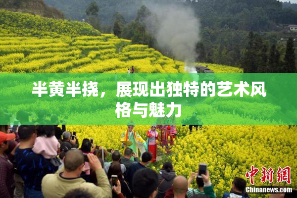 半黄半挠，展现出独特的艺术风格与魅力