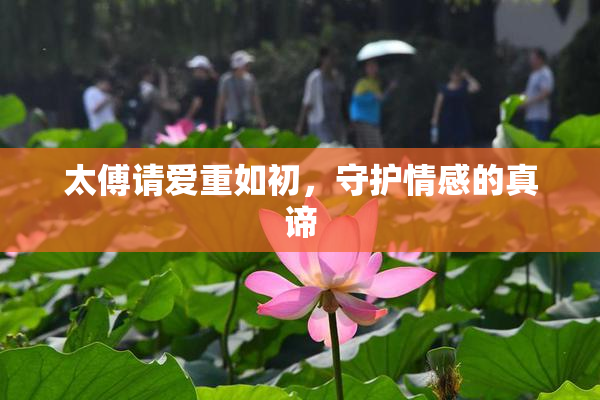 太傅请爱重如初，守护情感的真谛