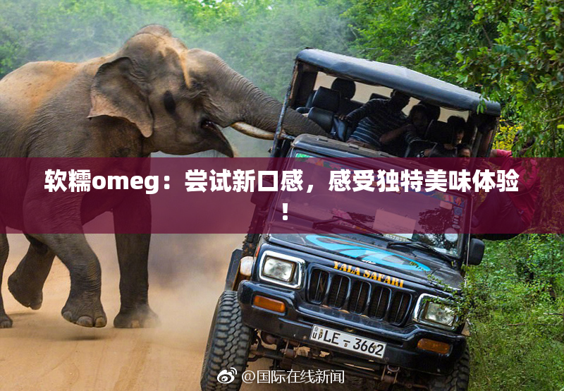 软糯omeg：尝试新口感，感受独特美味体验！