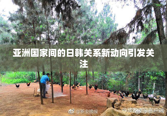 亚洲国家间的日韩关系新动向引发关注