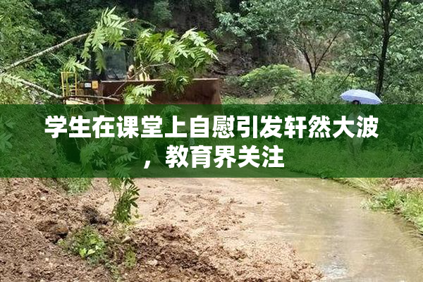 学生在课堂上自慰引发轩然大波，教育界关注