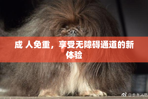成 人免重，享受无障碍通道的新体验