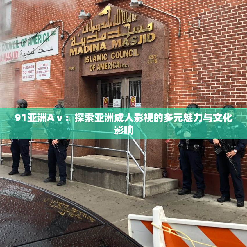 91亚洲Aⅴ：探索亚洲成人影视的多元魅力与文化影响