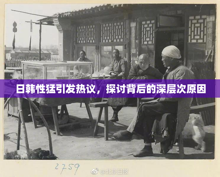 日韩性猛引发热议，探讨背后的深层次原因