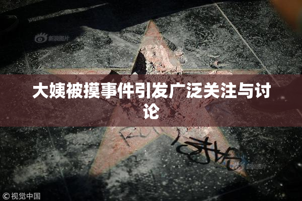 大姨被摸事件引发广泛关注与讨论