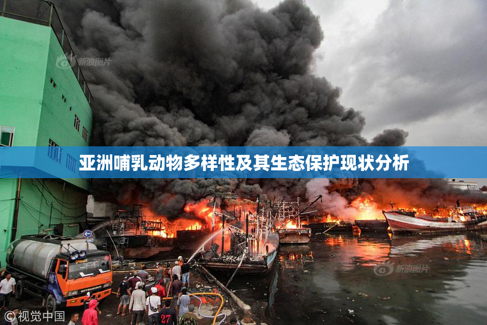 亚洲哺乳动物多样性及其生态保护现状分析