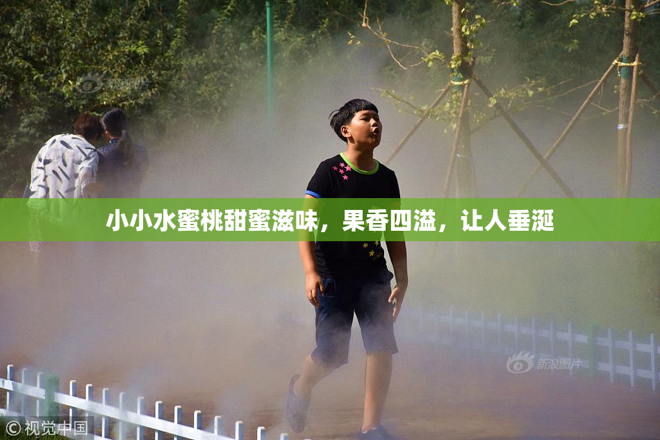 小小水蜜桃甜蜜滋味，果香四溢，让人垂涎