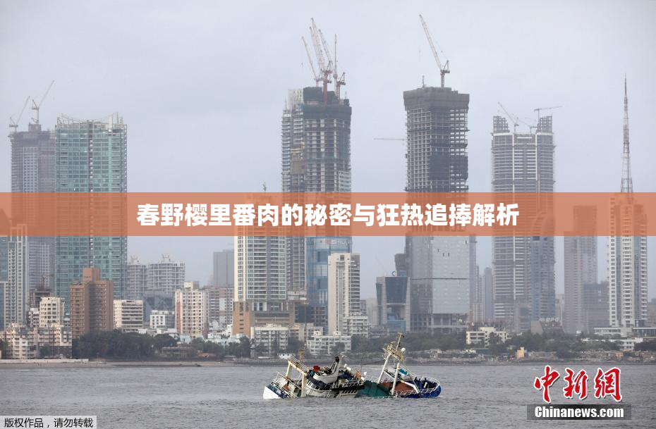 春野樱里番肉的秘密与狂热追捧解析